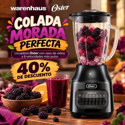 Licuadora Oster, con vaso refactario Boroclass 6 velocidades